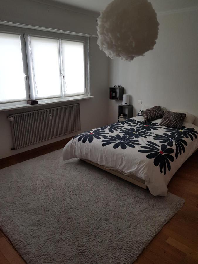 Duppigheim Joli Appartement Calme Et Spacieux, Proche Strasbourg מראה חיצוני תמונה